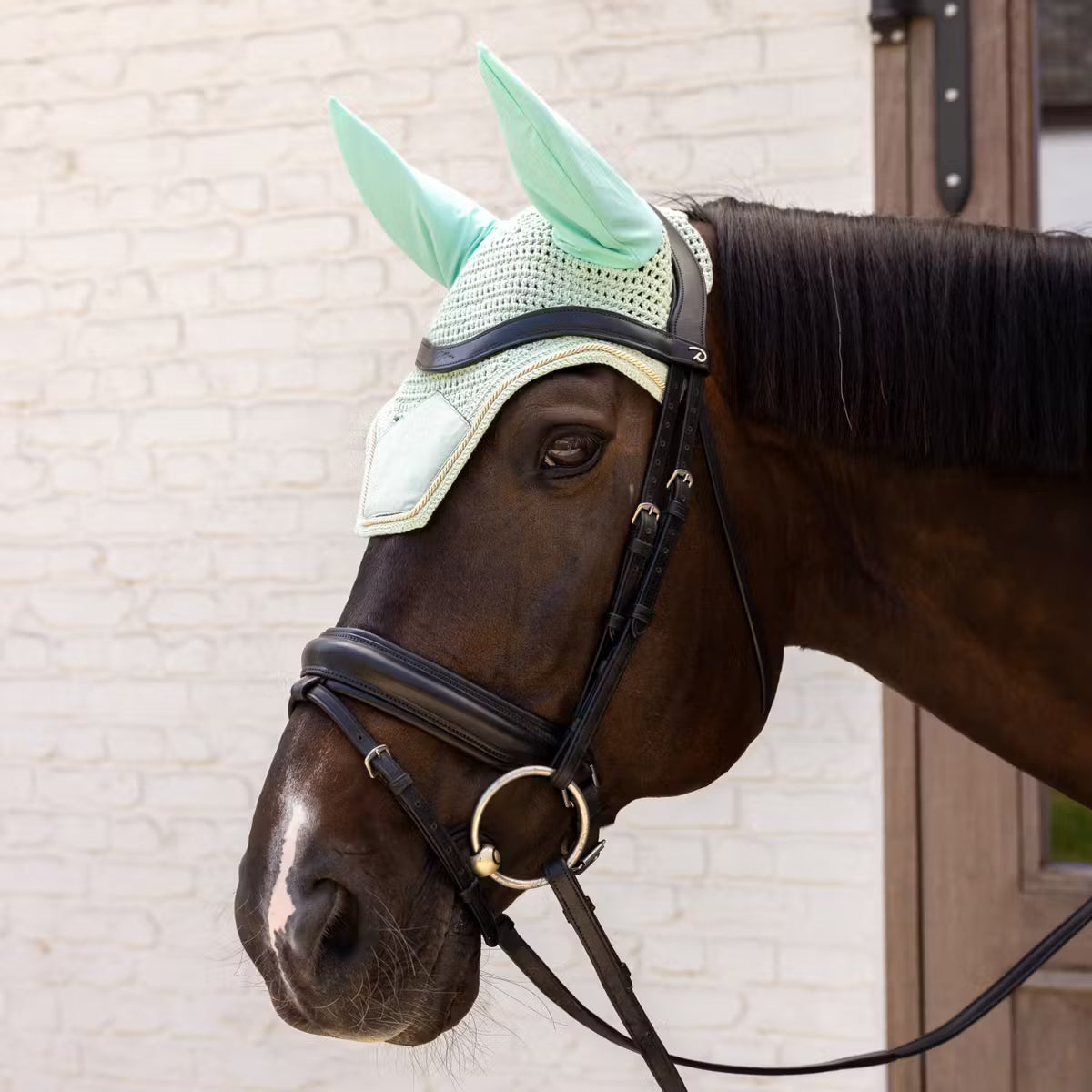 Wellington Velvet Hat Old Pink - Kentucky