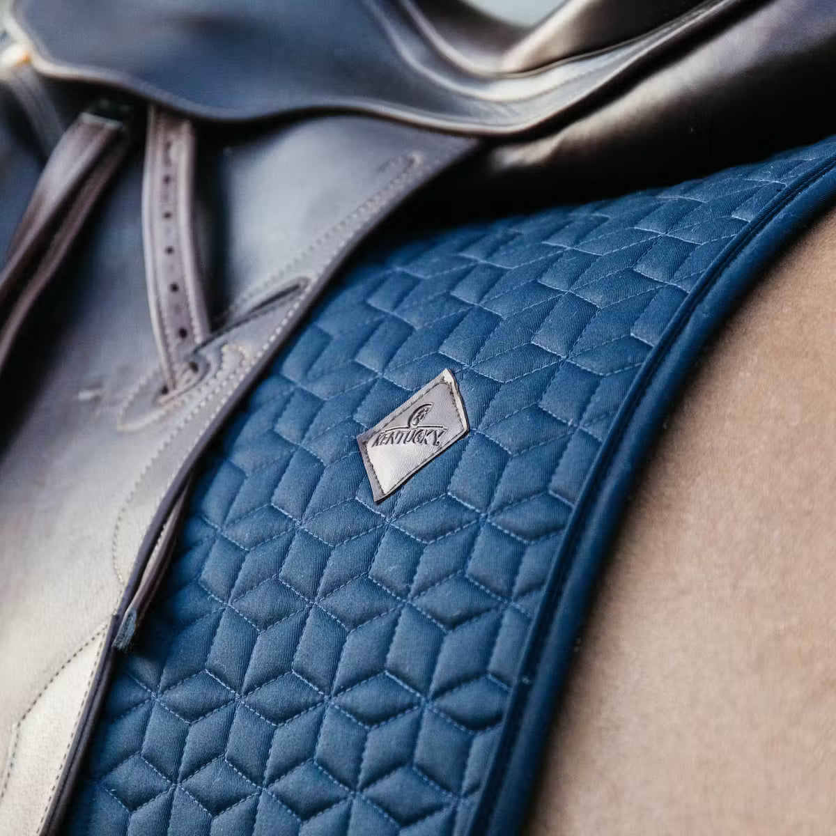 Tapis de selle Classique DRESSAGE - Kentucky