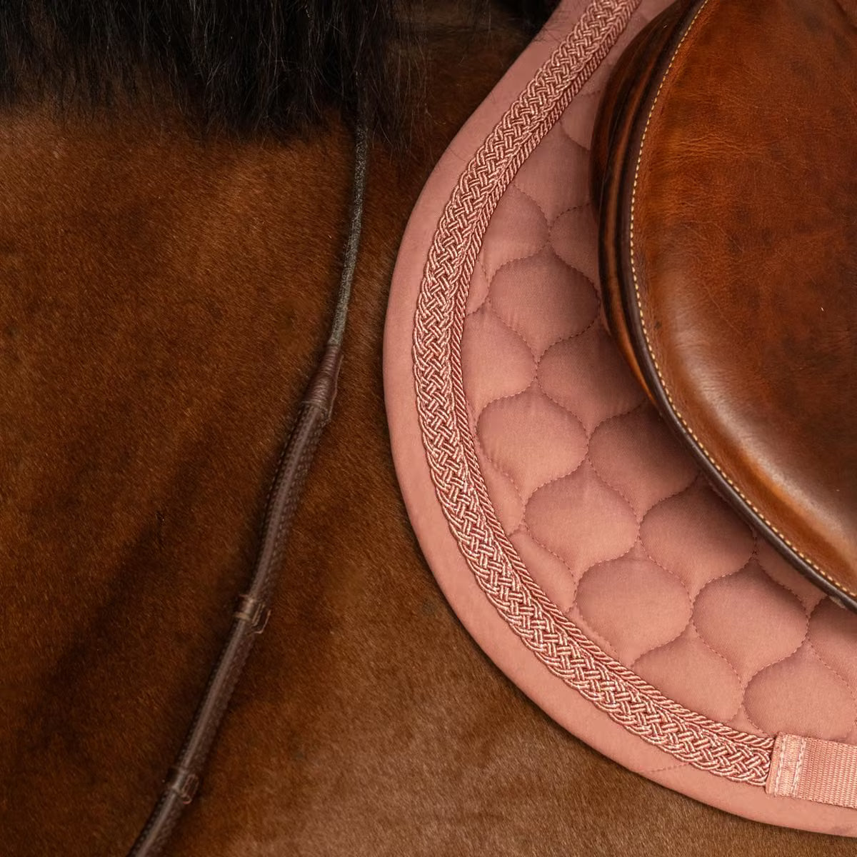 Tapis de selle Classic Onion pailleté MIXTE - Kentucky
