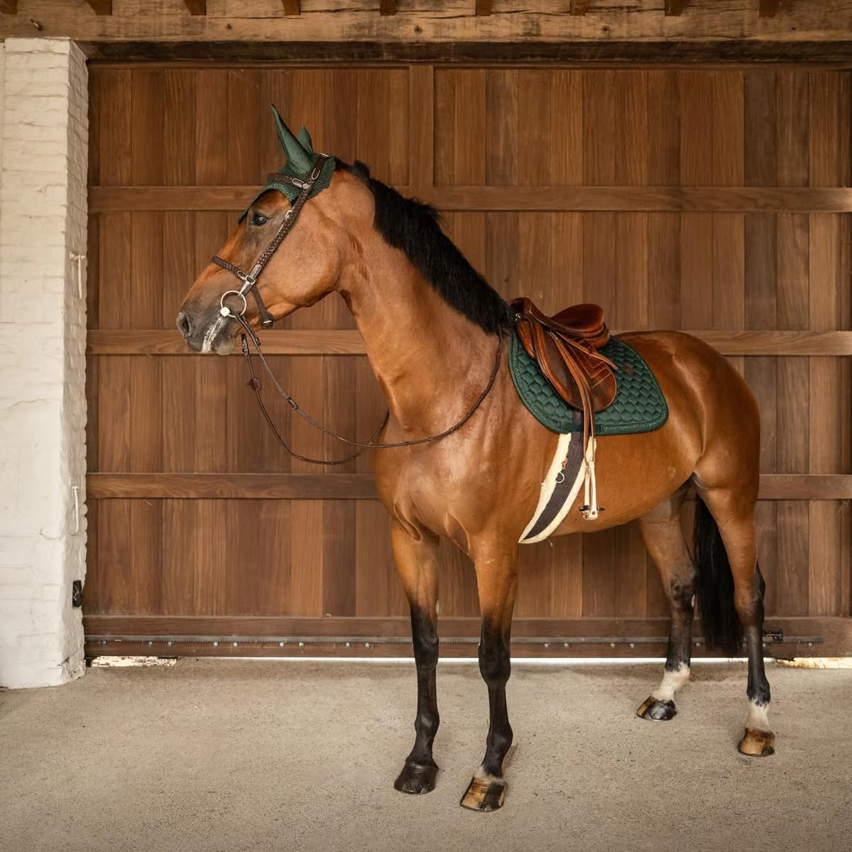 Tapis de selle Classic Onion pailleté MIXTE - Kentucky