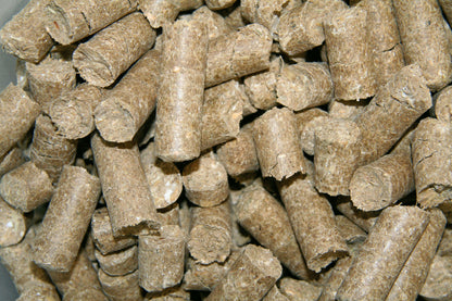Friandises pour chevaux Classic Delizia® - Kerbl