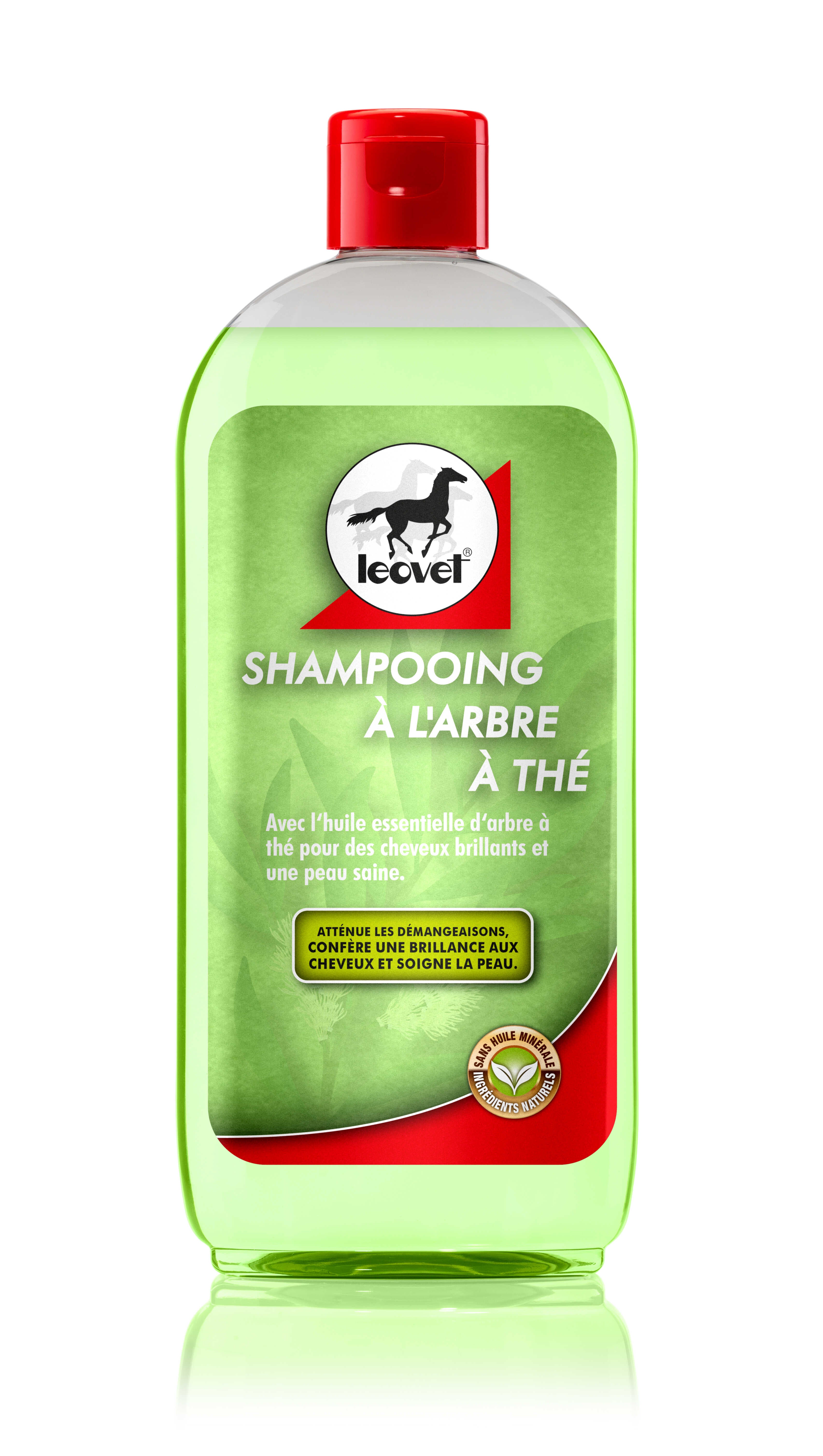 Shampoing anti démangeaison Arbre à thé - Leovet