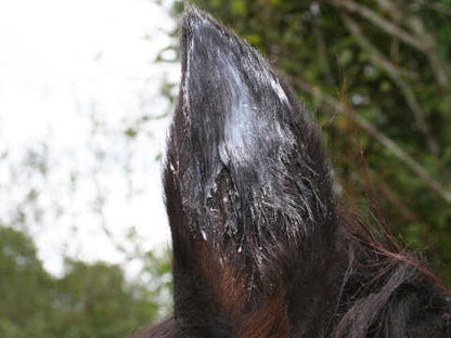 Baume de protection NATJELY - ANIMADERM