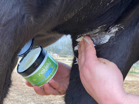 Baume de protection NATJELY - ANIMADERM