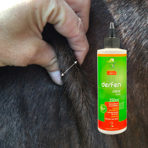 Lotion DERFEN™ "CLEAR" - Animaderm
