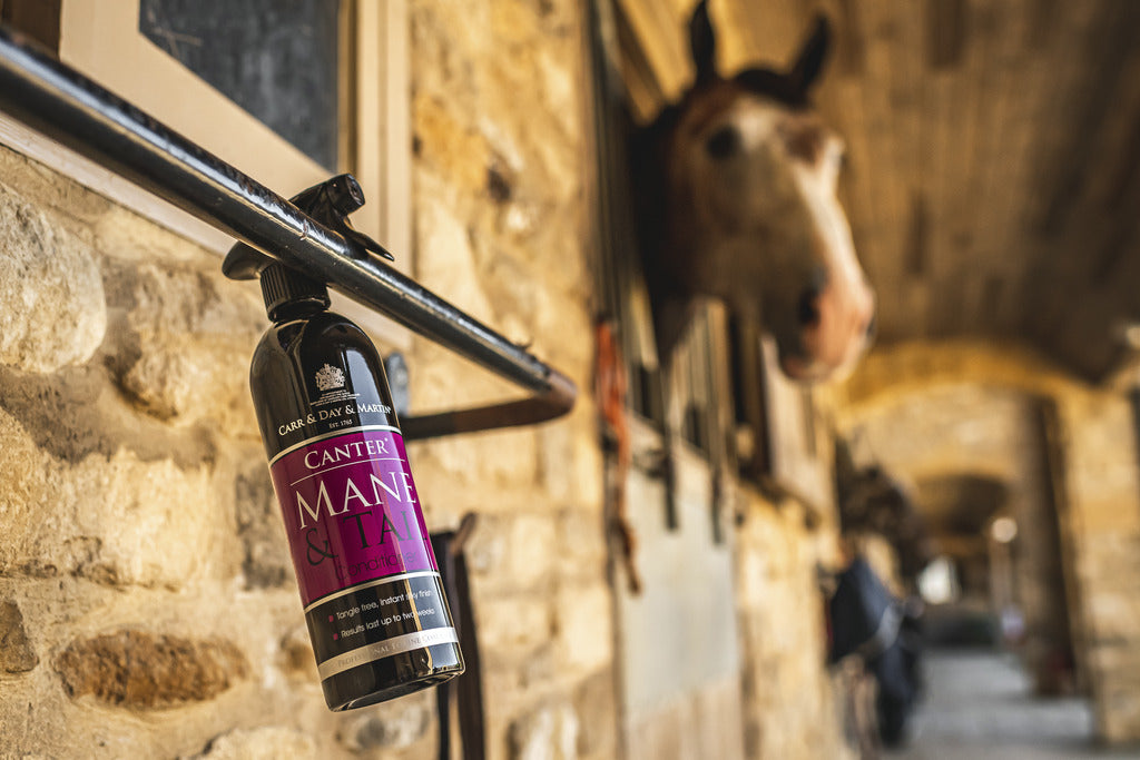 Démêlant Mane &amp; tail - Carr &amp; Day &amp; Martin LTD