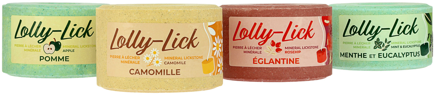 Pierre à sel Lolly Lick Églantine - Hippotonic