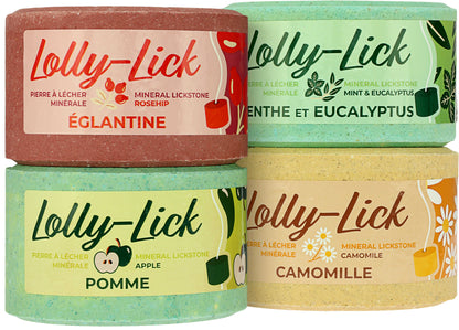 Pierre à sel Lolly Lick Pomme - Hippotonic