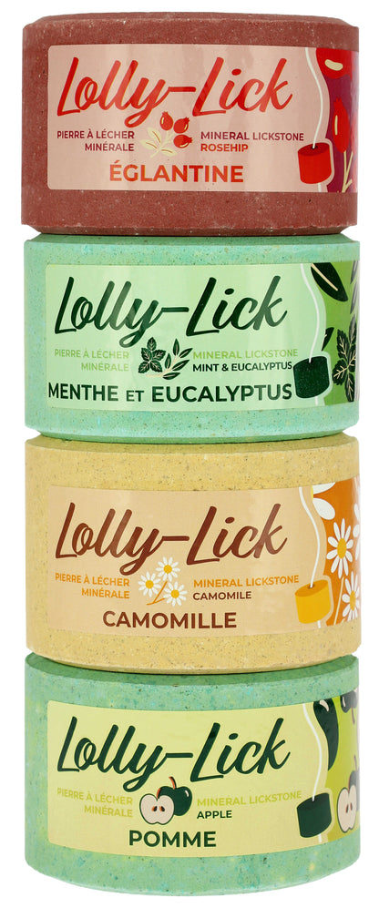 Pierre à sel Lolly Lick Églantine - Hippotonic