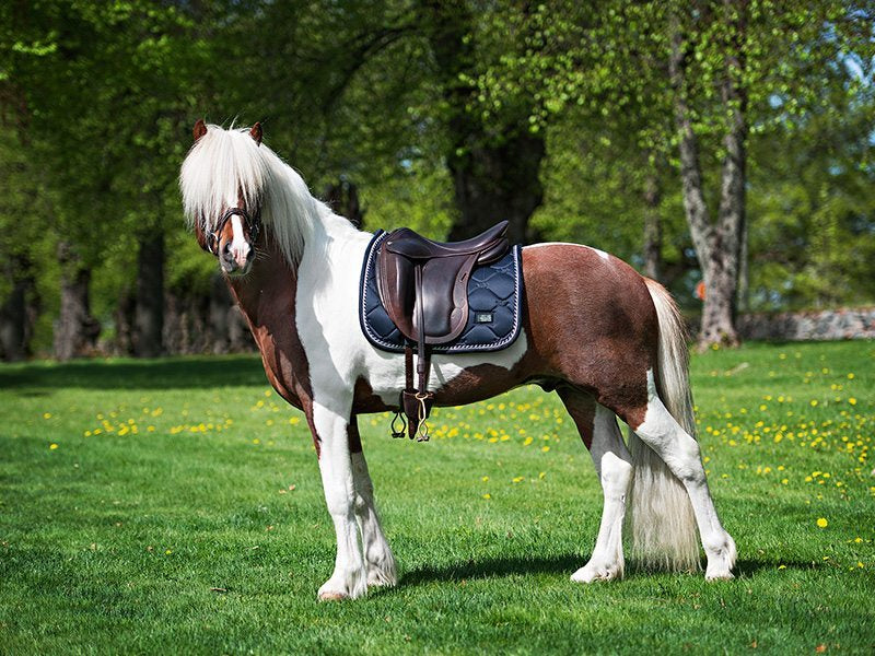 Tapis de selle Equestrian Stockholm - MIDNIGHT BLUE