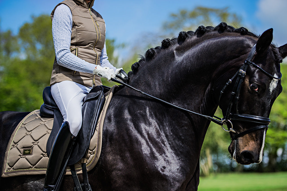 Tapis de selle Equestrian Stockholm - CHAMPAGNE