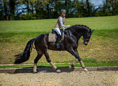 Tapis de selle Equestrian Stockholm - CHAMPAGNE