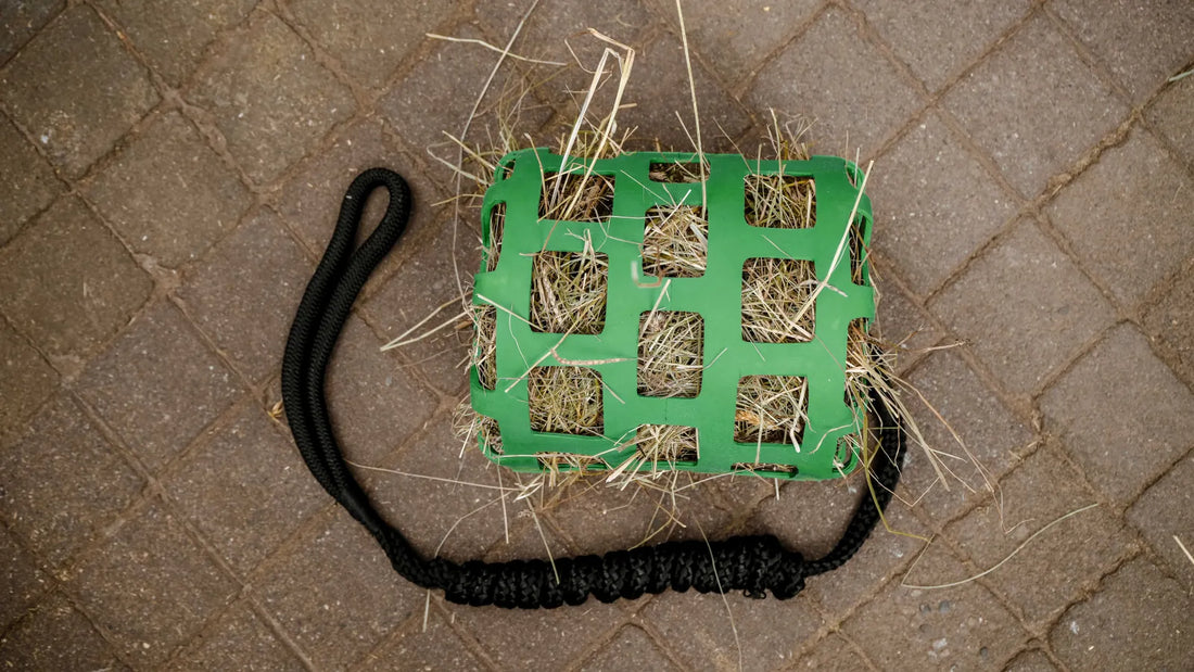 Panier + longe antiglouton - HIPPOTONIC