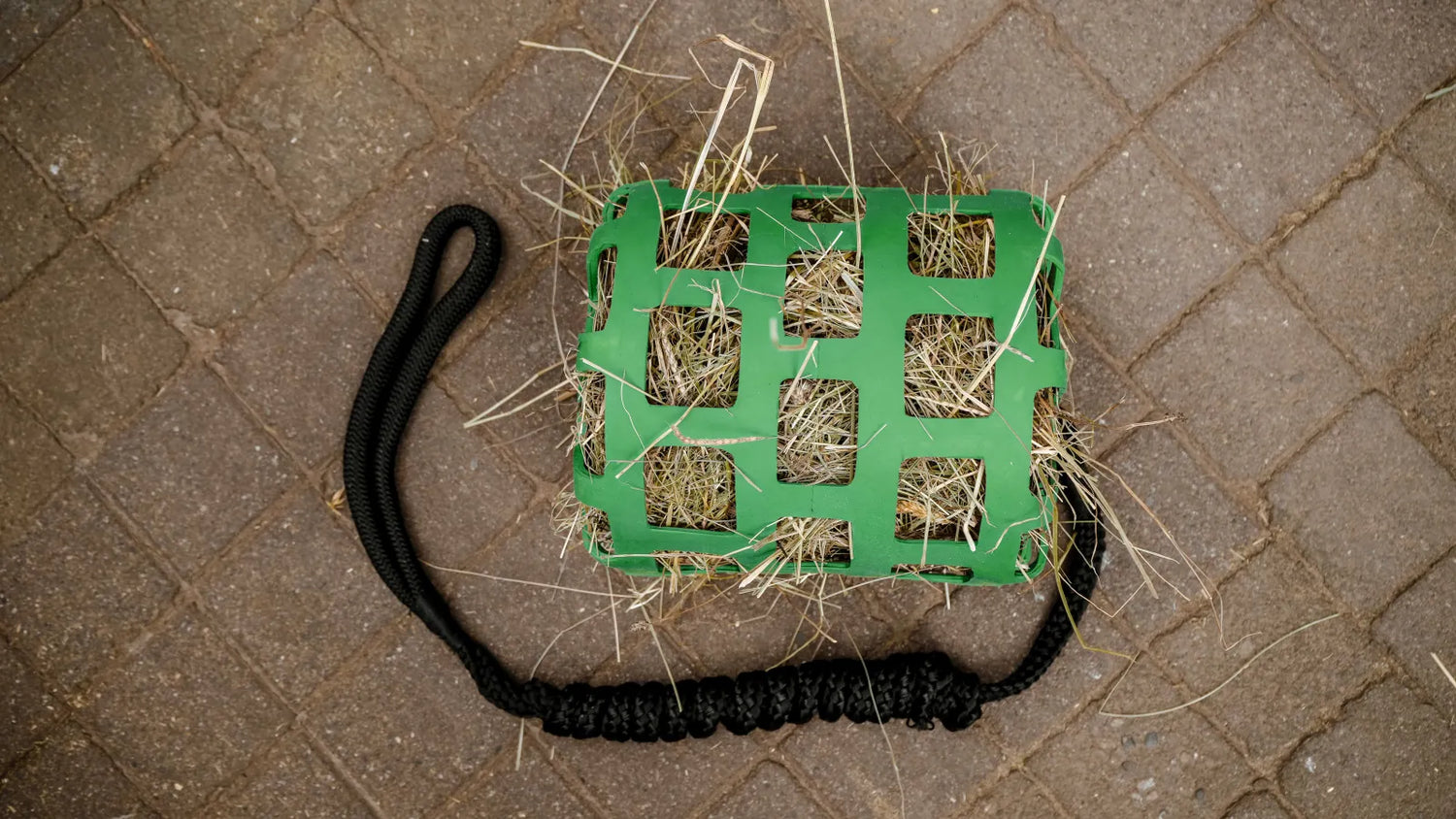 Panier + longe antiglouton - HIPPOTONIC