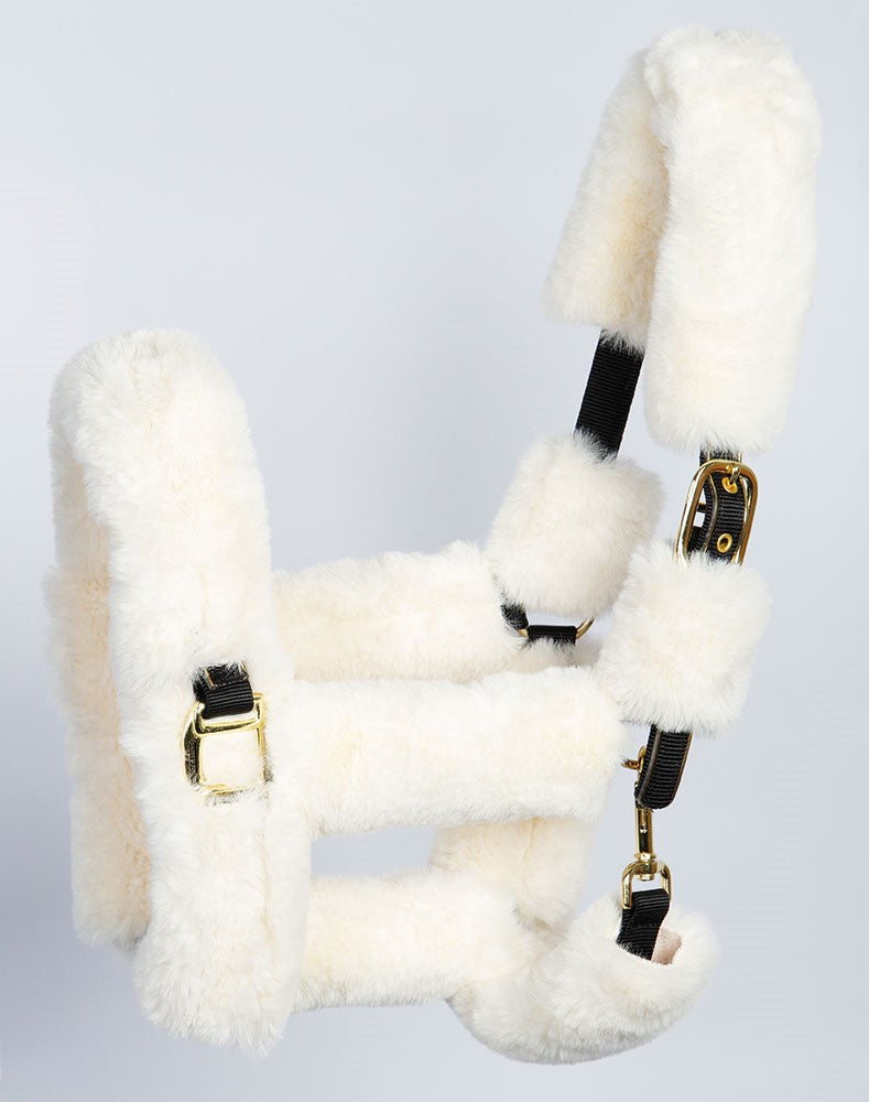 Licol Furry - Harry&