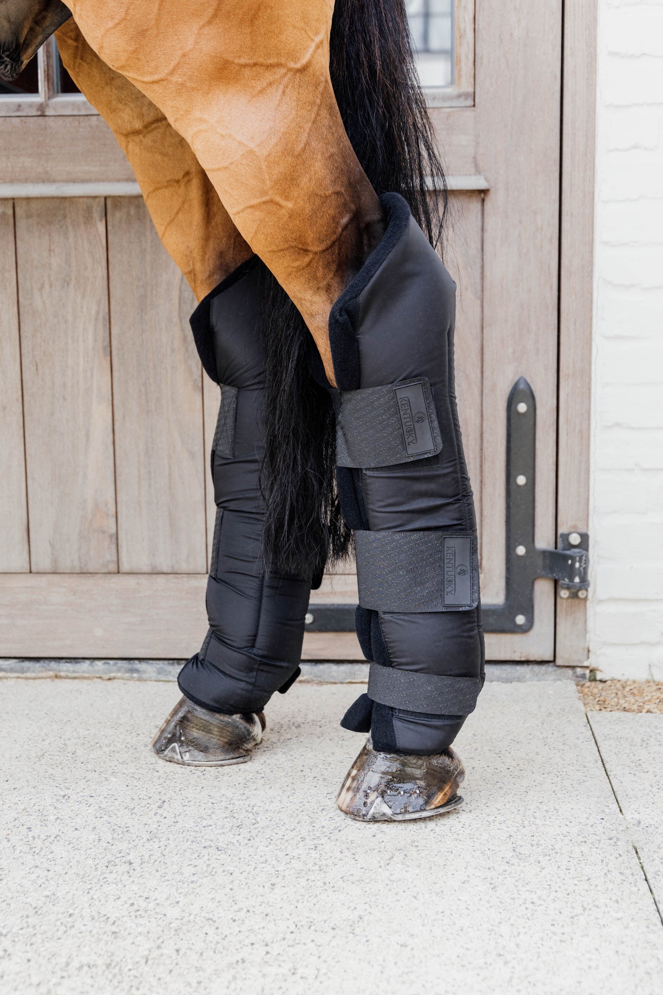 Guêtres de repos PROtect Classic - KENTUCKY