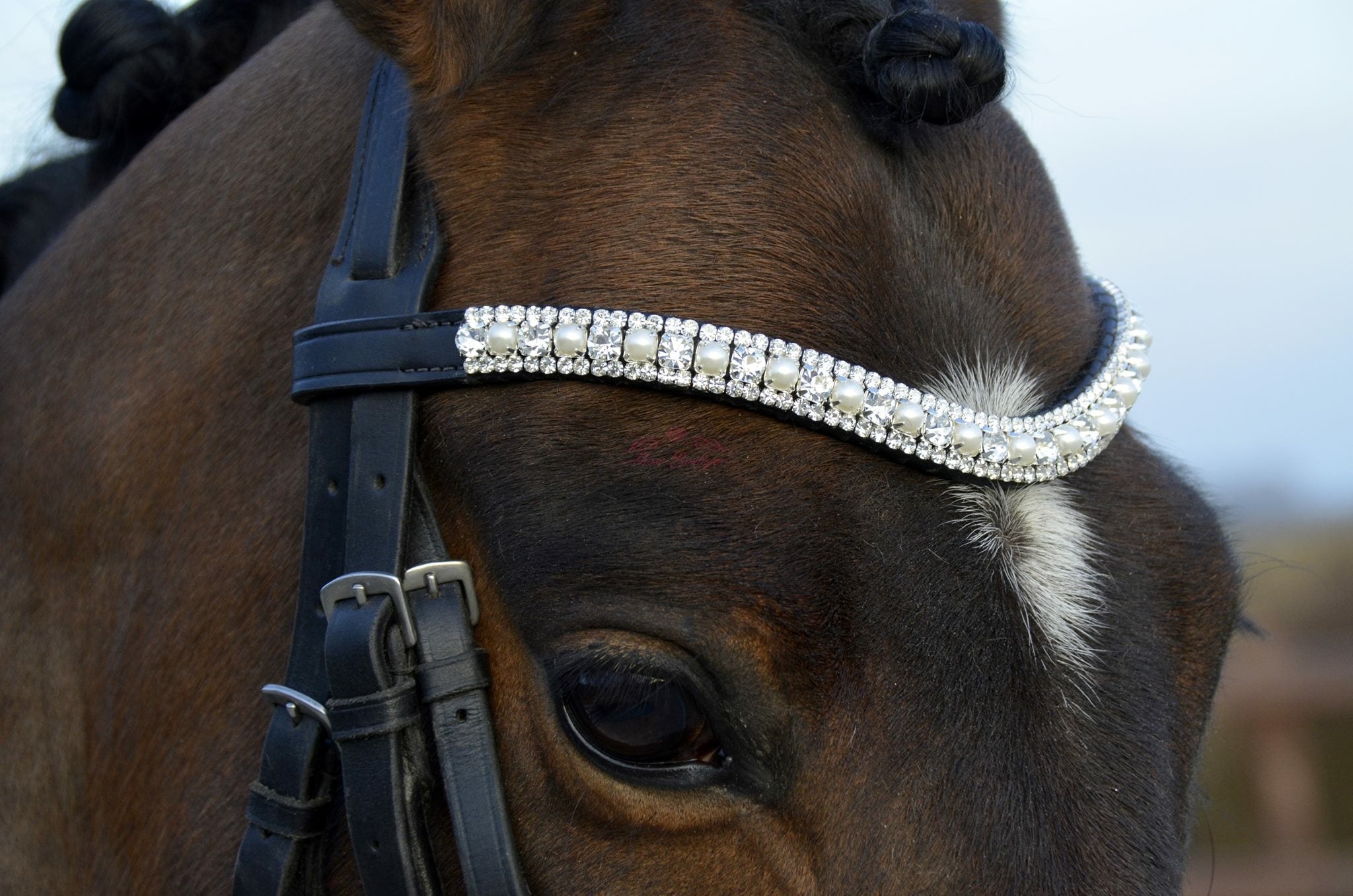 Frontal strass argent et perles WWF