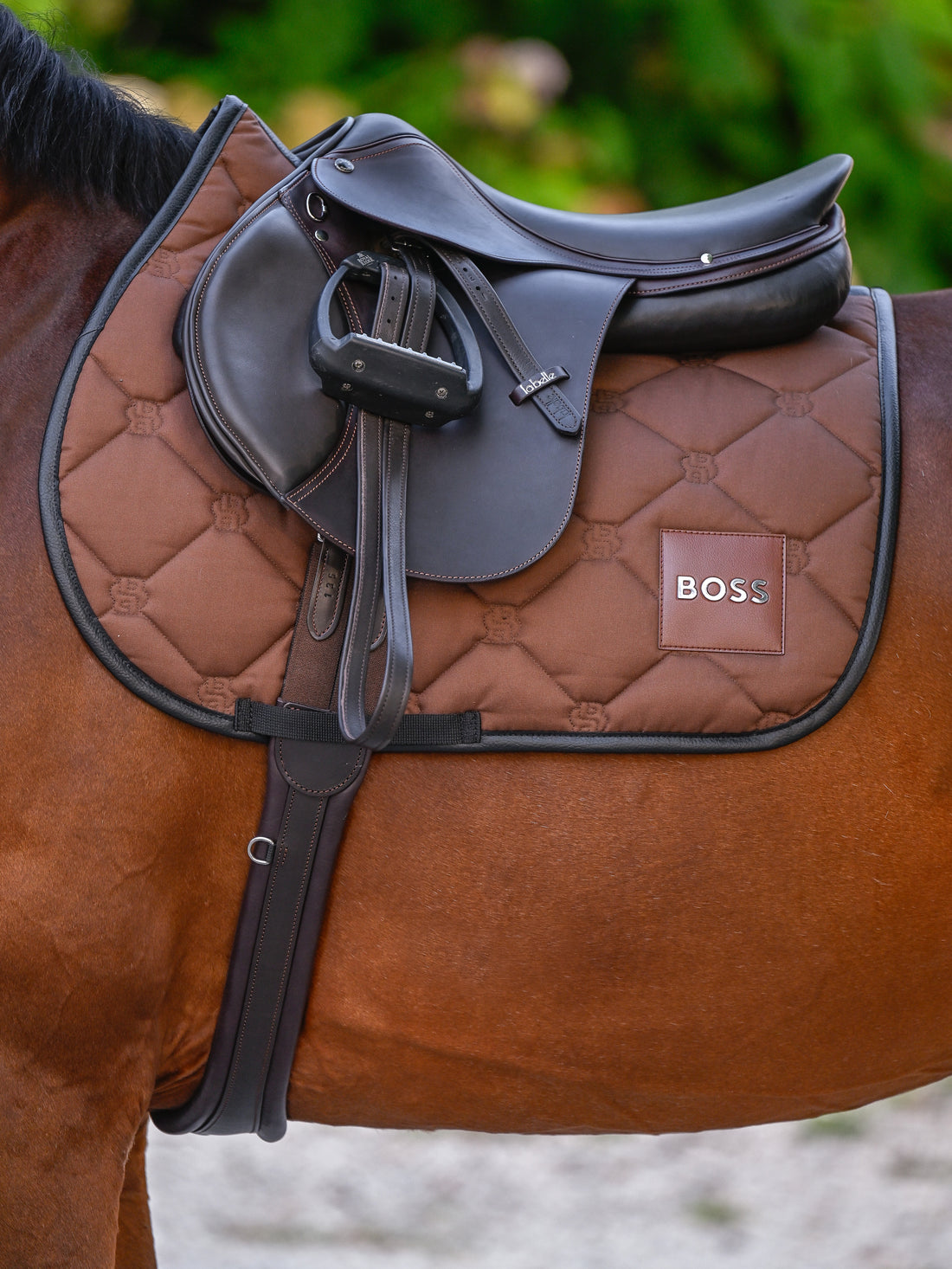 Tapis de selle Cappuccino Mixte - Boss Equestrian