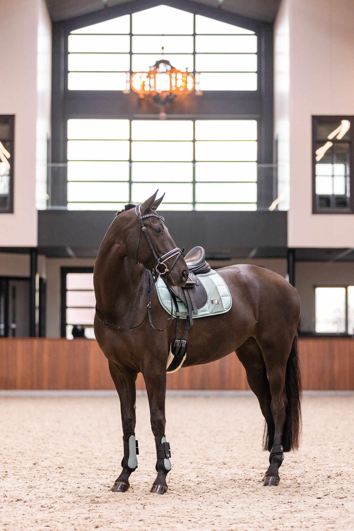 Guetres Lovely - IMPERIAL RIDING
