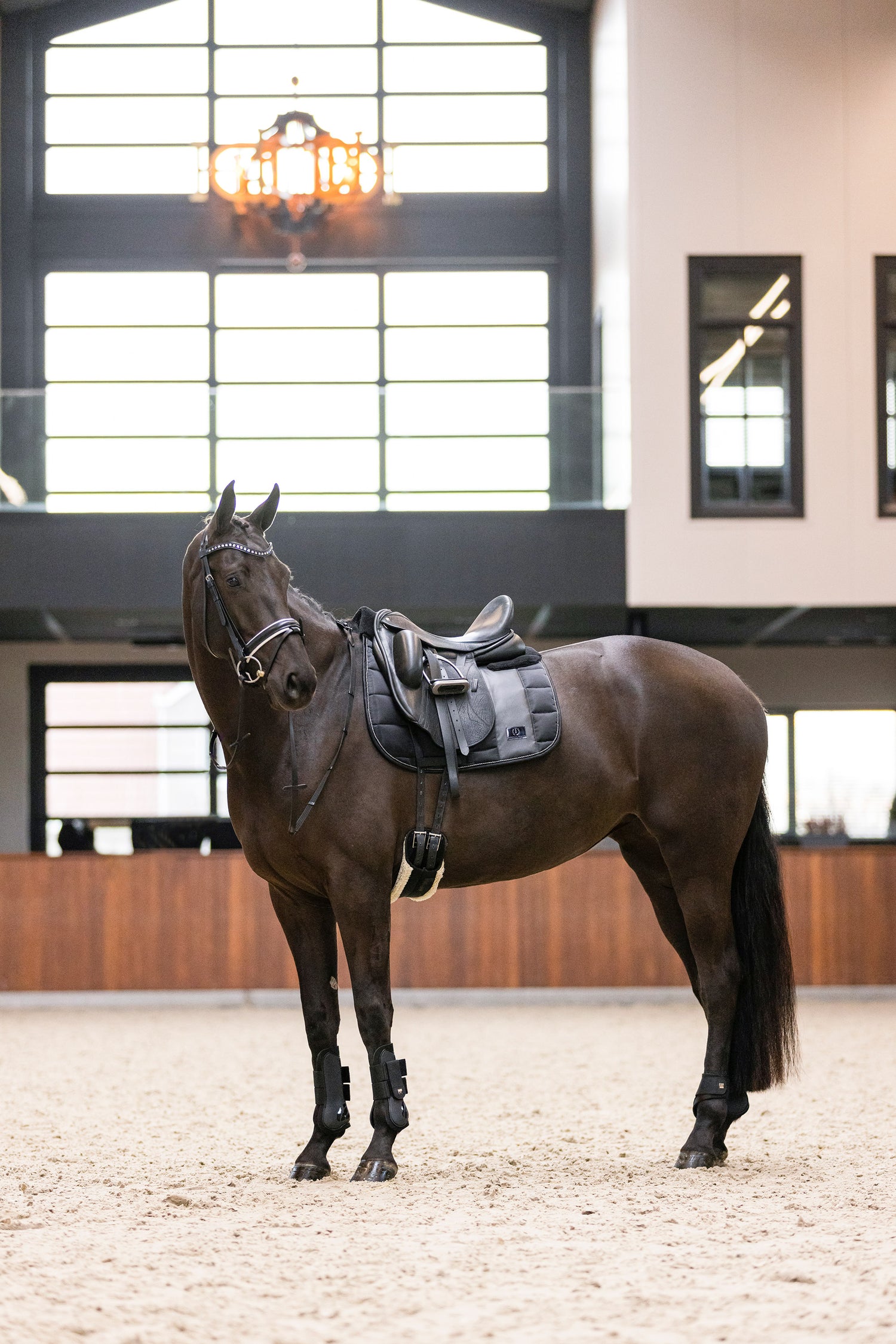 Guetres Lovely - IMPERIAL RIDING