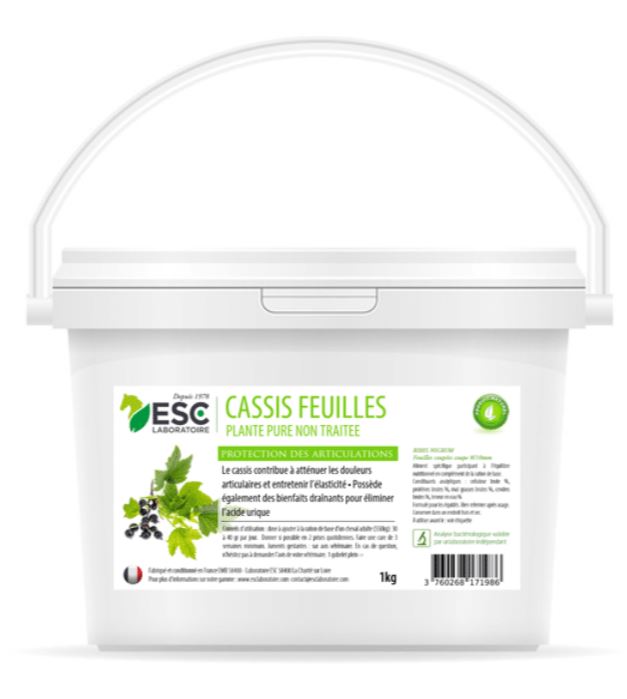 Cassis Articulation - ESC LABORATOIRE