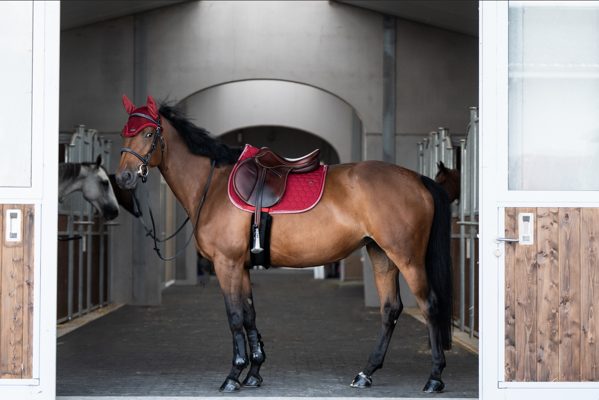 Tapis de selle Atlas Cerise - GEM
