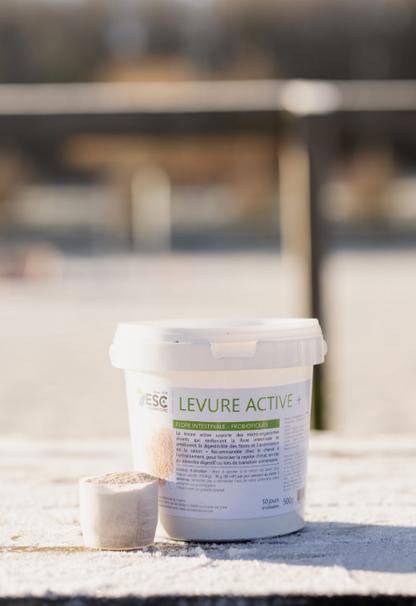 Levure Active + Probiotiques flore intestinale et digestion - ESC LABORATOIRE