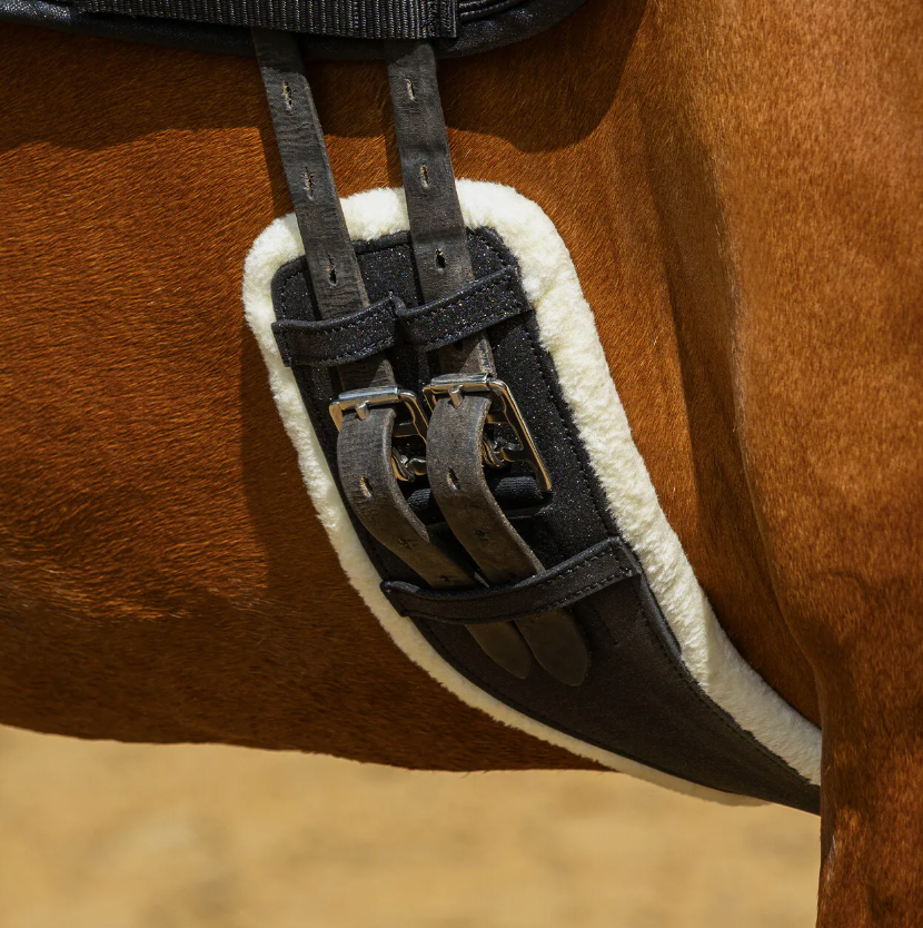 Sangle de dressage à paillettes – QHP