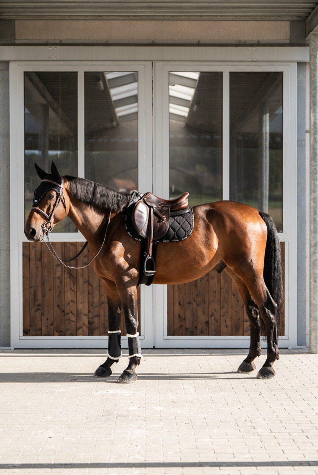 Tapis de selle LOVE Noir tissu pailleté mixte - GEM