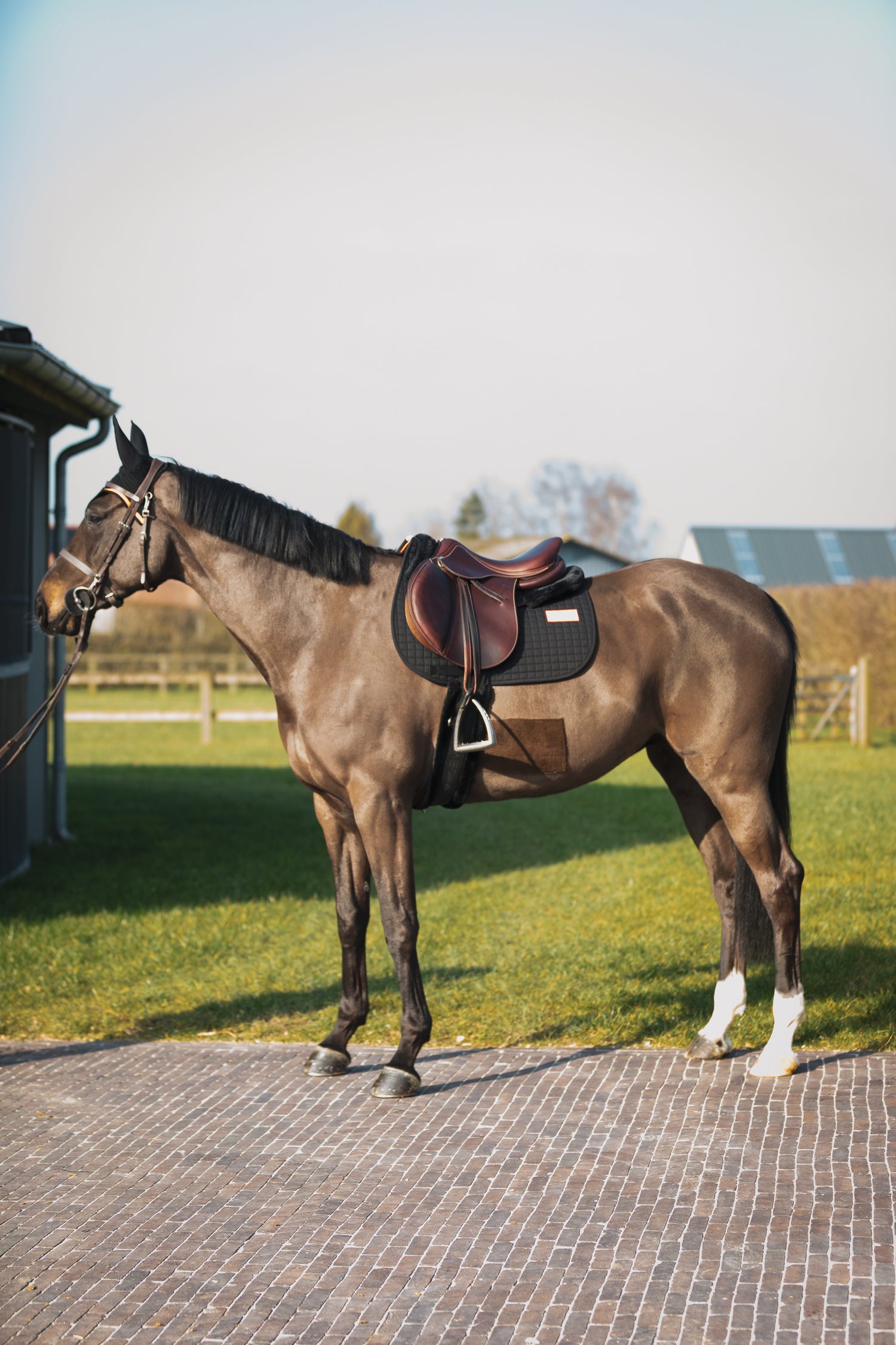 LEO saddle pad - GEM