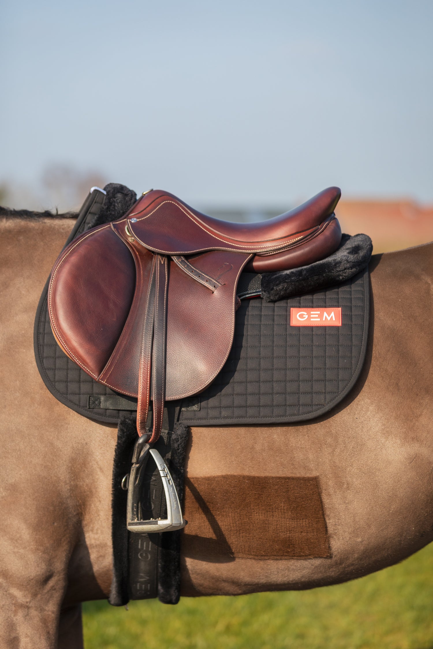 LEO saddle pad - GEM