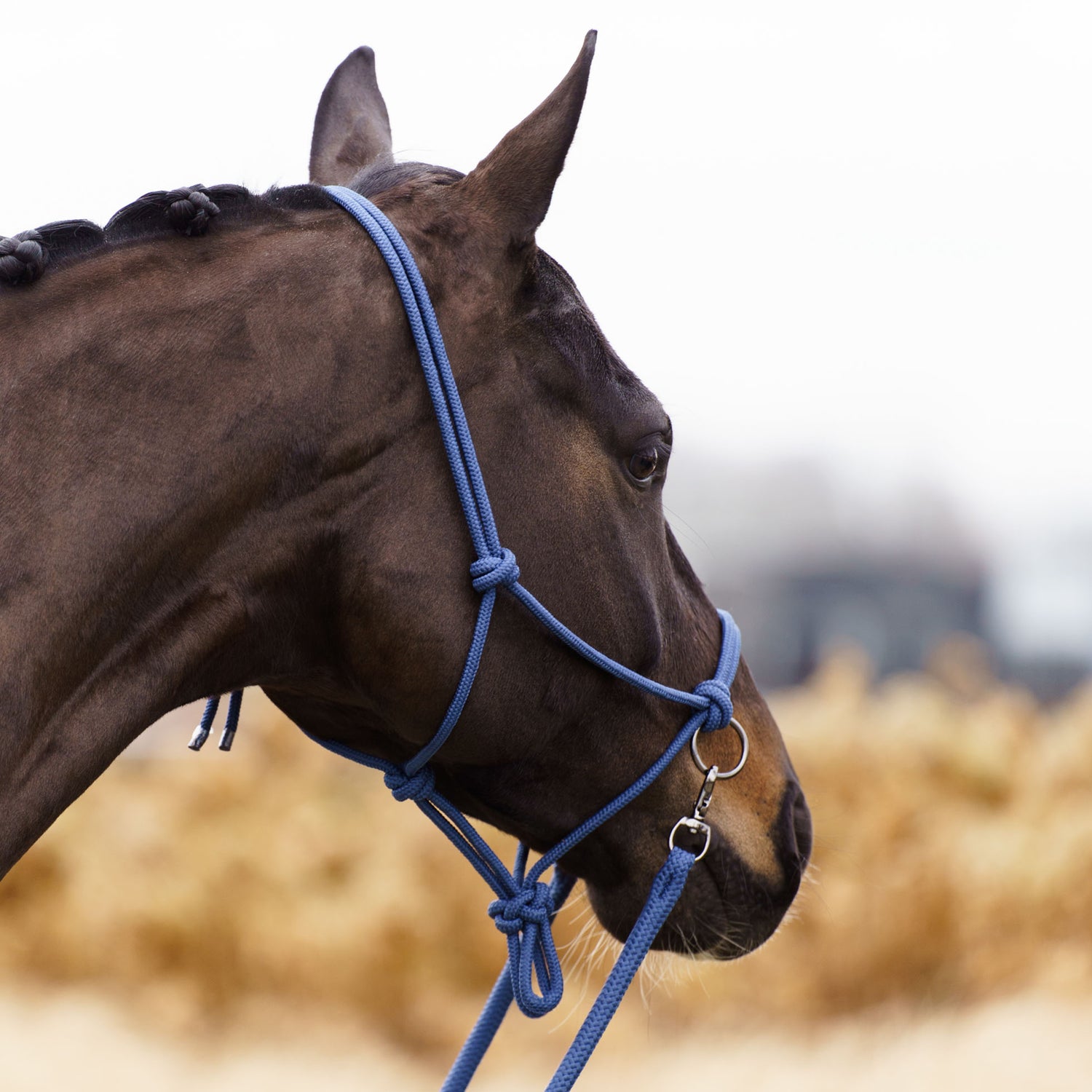 Licol en corde Free Ride  - IMPERIAL RIDING