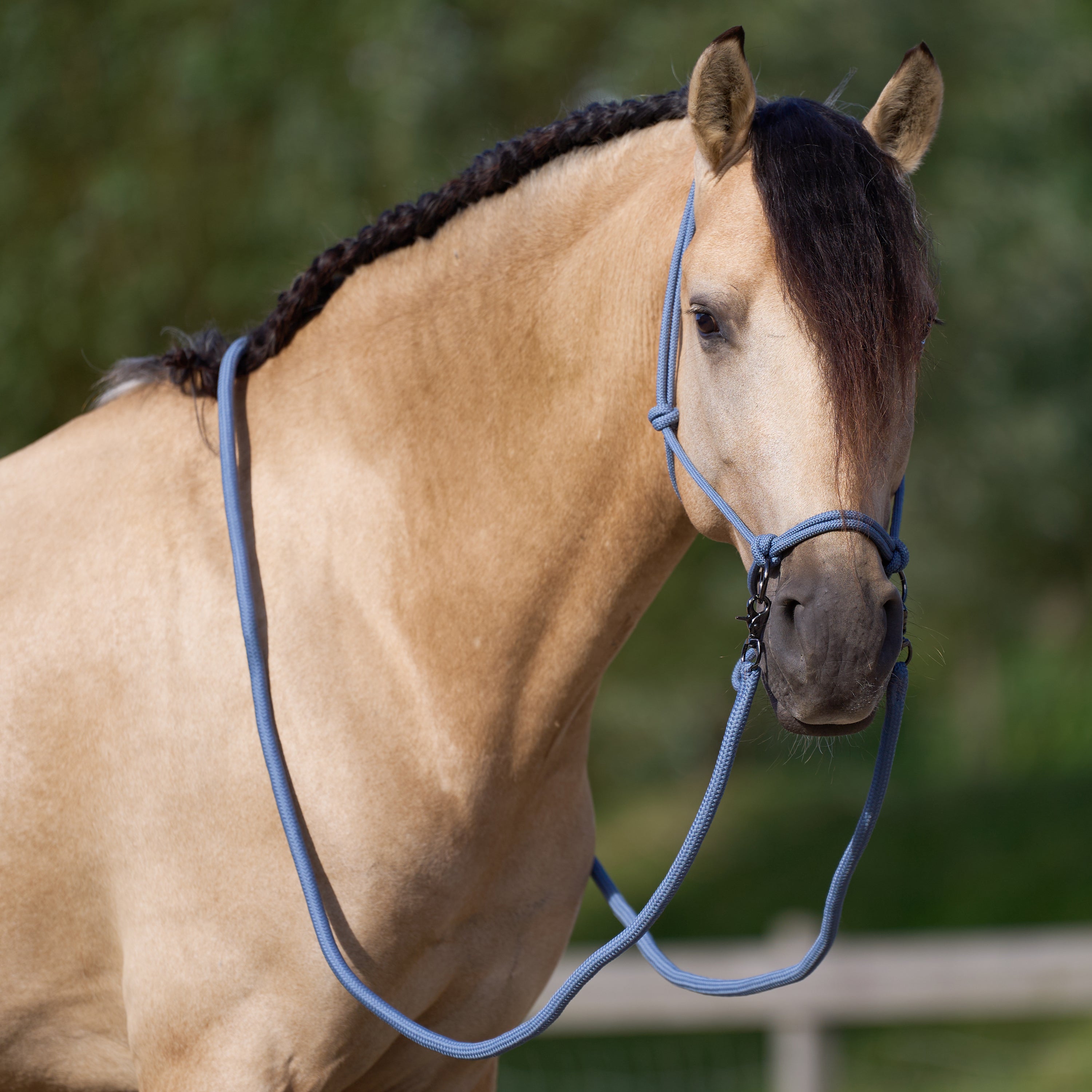 Licol en corde Free Ride  - IMPERIAL RIDING