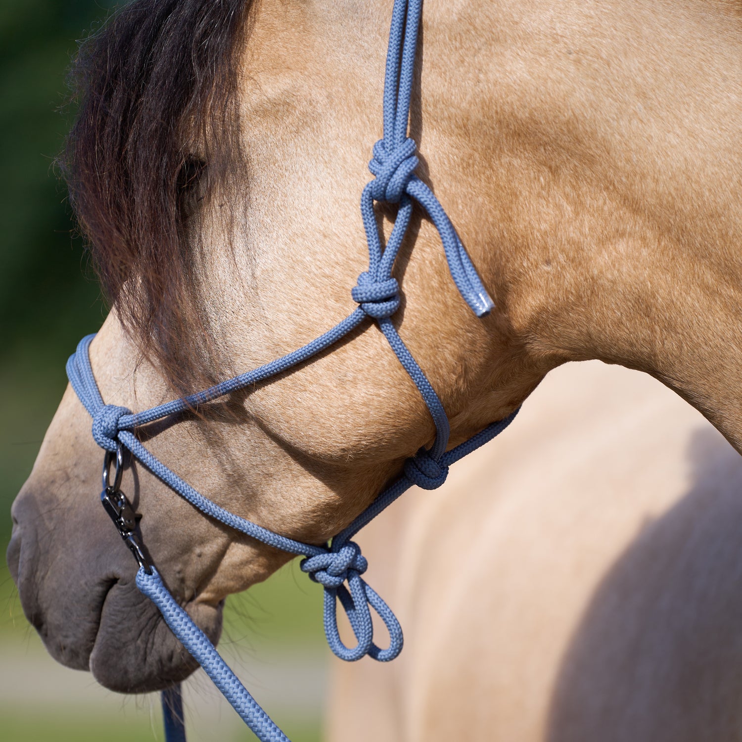 Licol en corde Free Ride  - IMPERIAL RIDING