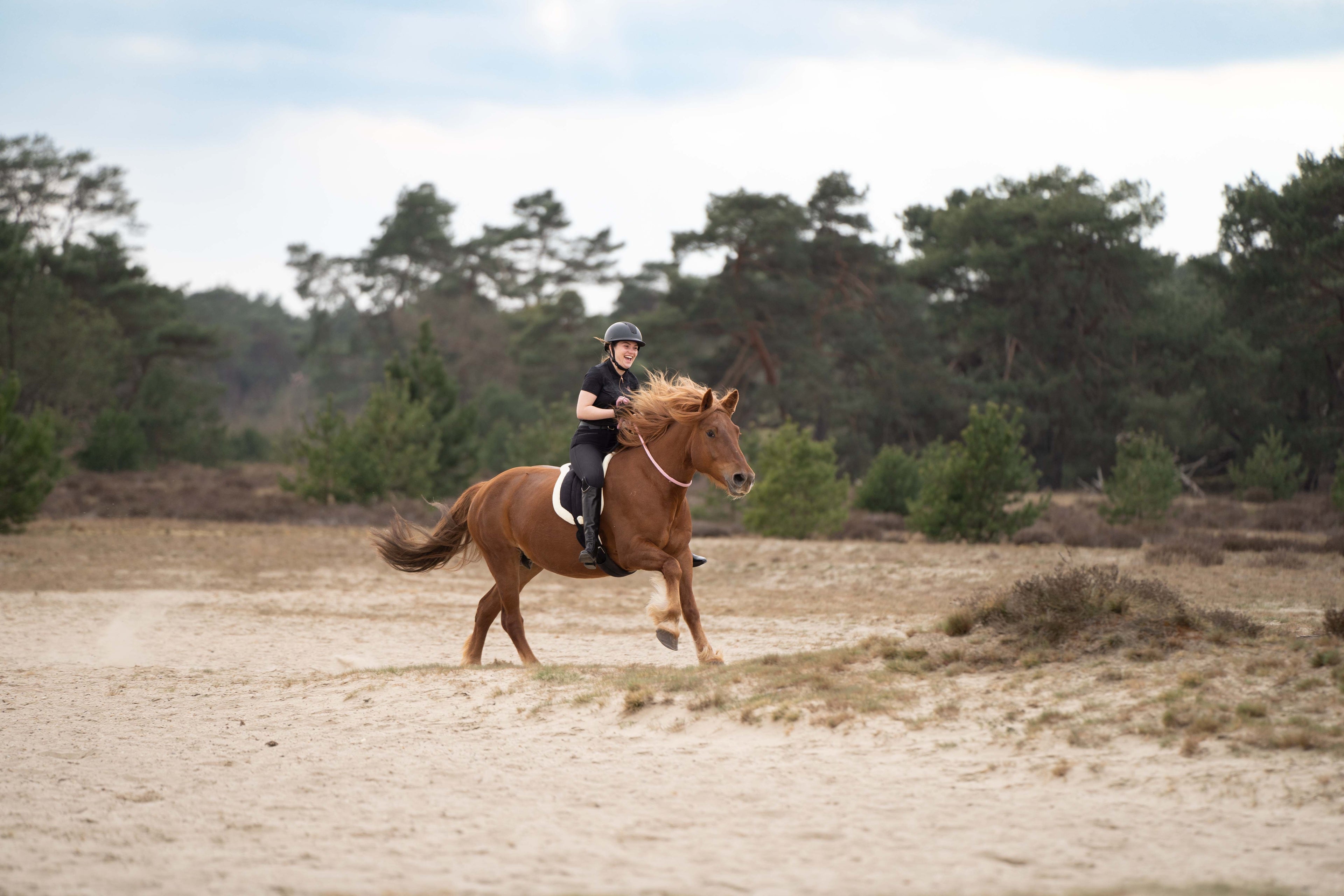 Licol en corde Free Ride  - IMPERIAL RIDING