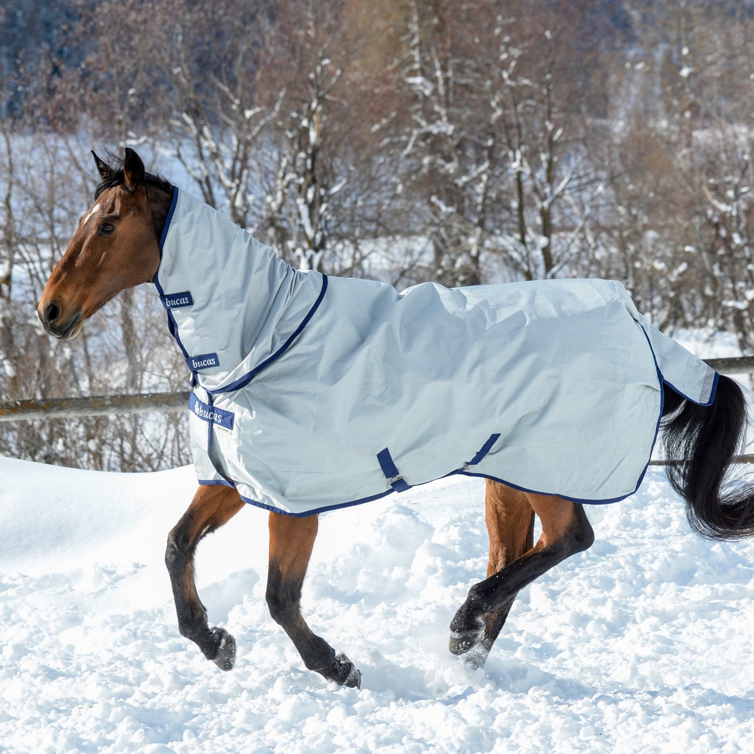 Couvre cou imperméable Power Turnout Neck 0g - Bucas