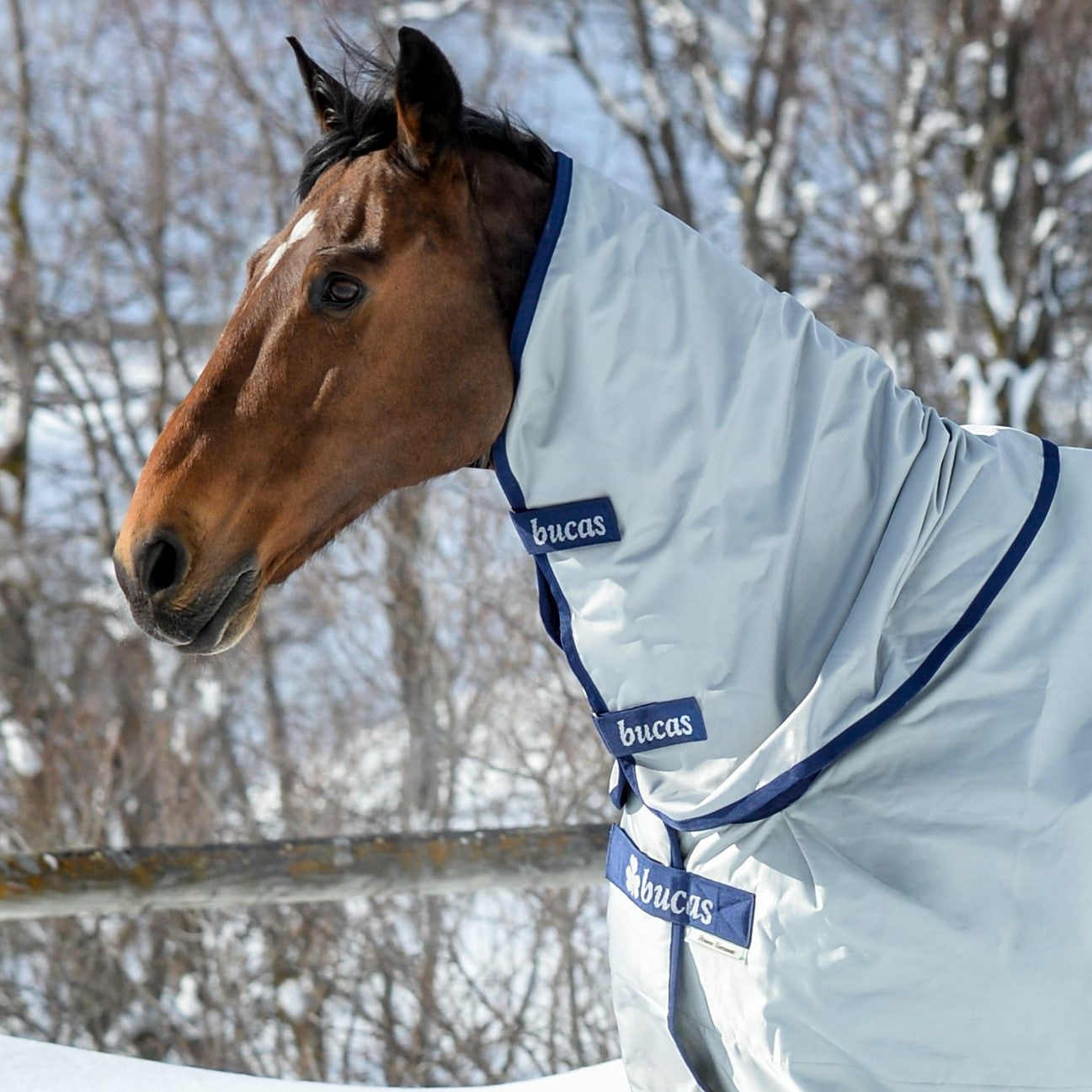 Couvre cou imperméable Power Turnout Neck 0g - Bucas