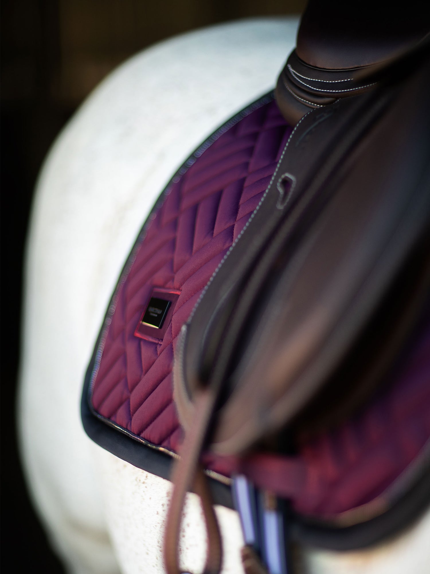 Tapis de selle Modern Purple Night MIXTE  - Equestrian Stockholm