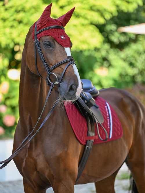 Bonnet Lexington - TOMMY HILFIGER