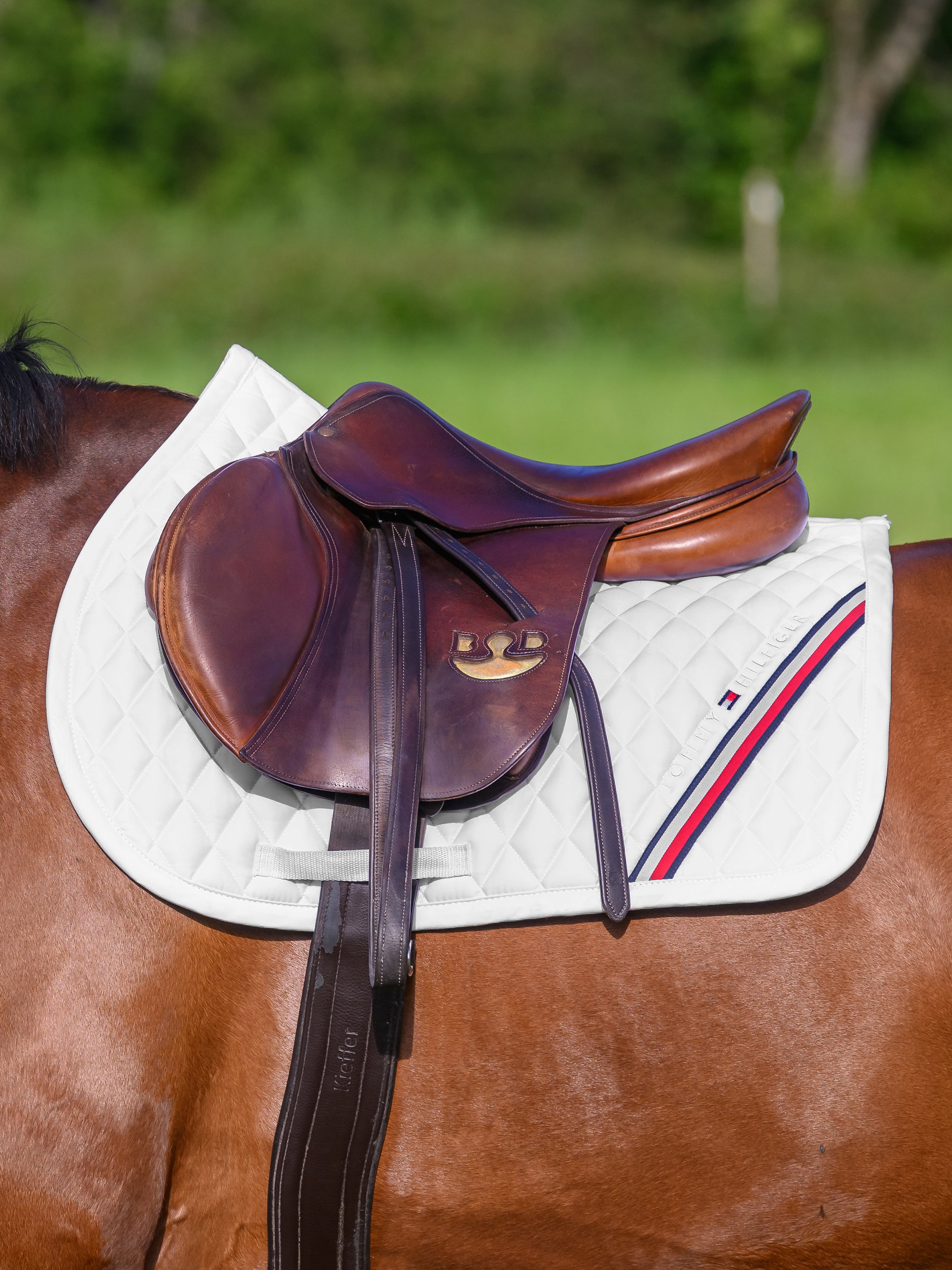 Tapis de selle Stanford MIXTE - TOMMY HILFIGER