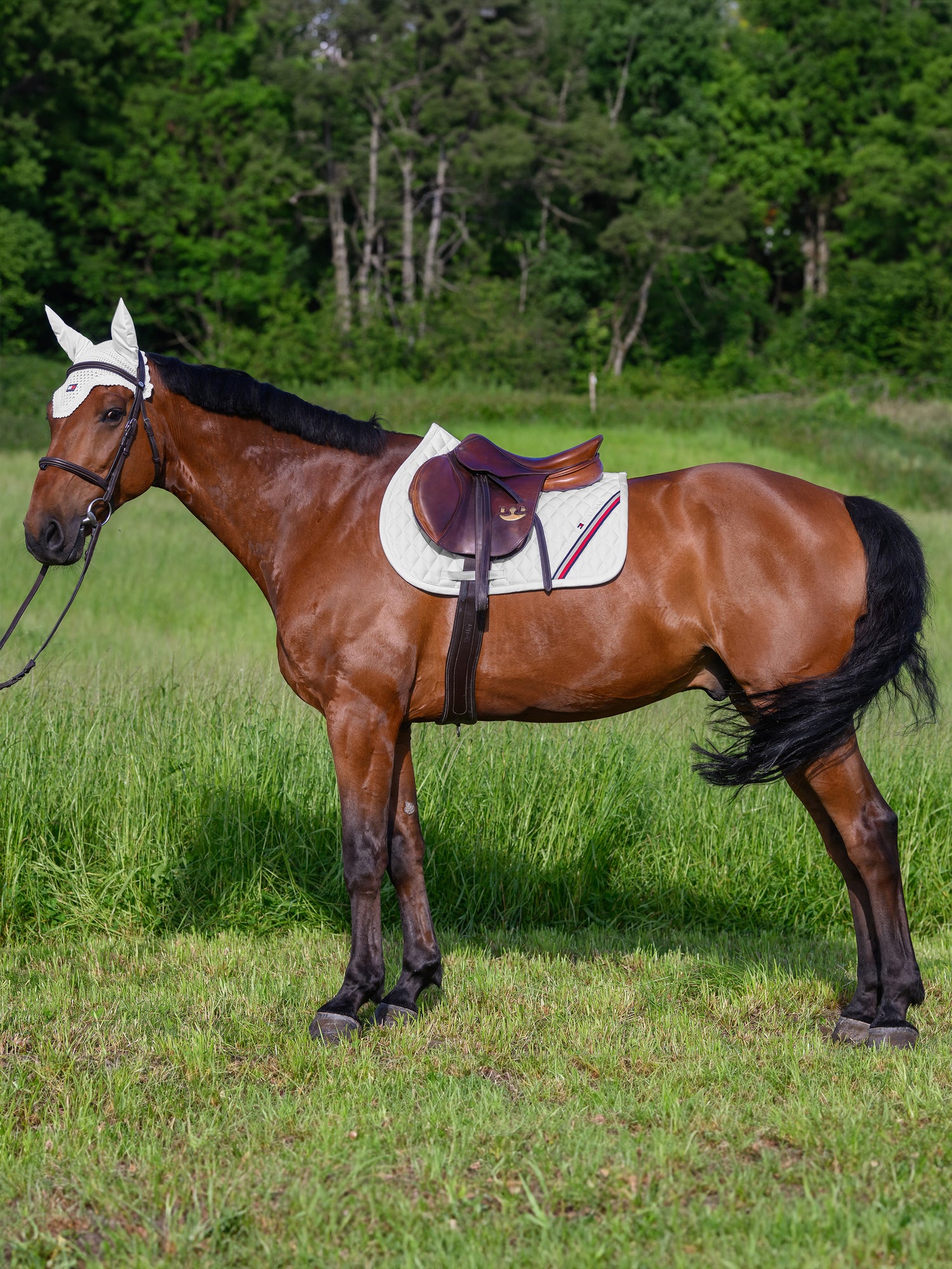 Tapis de selle Stanford MIXTE - TOMMY HILFIGER