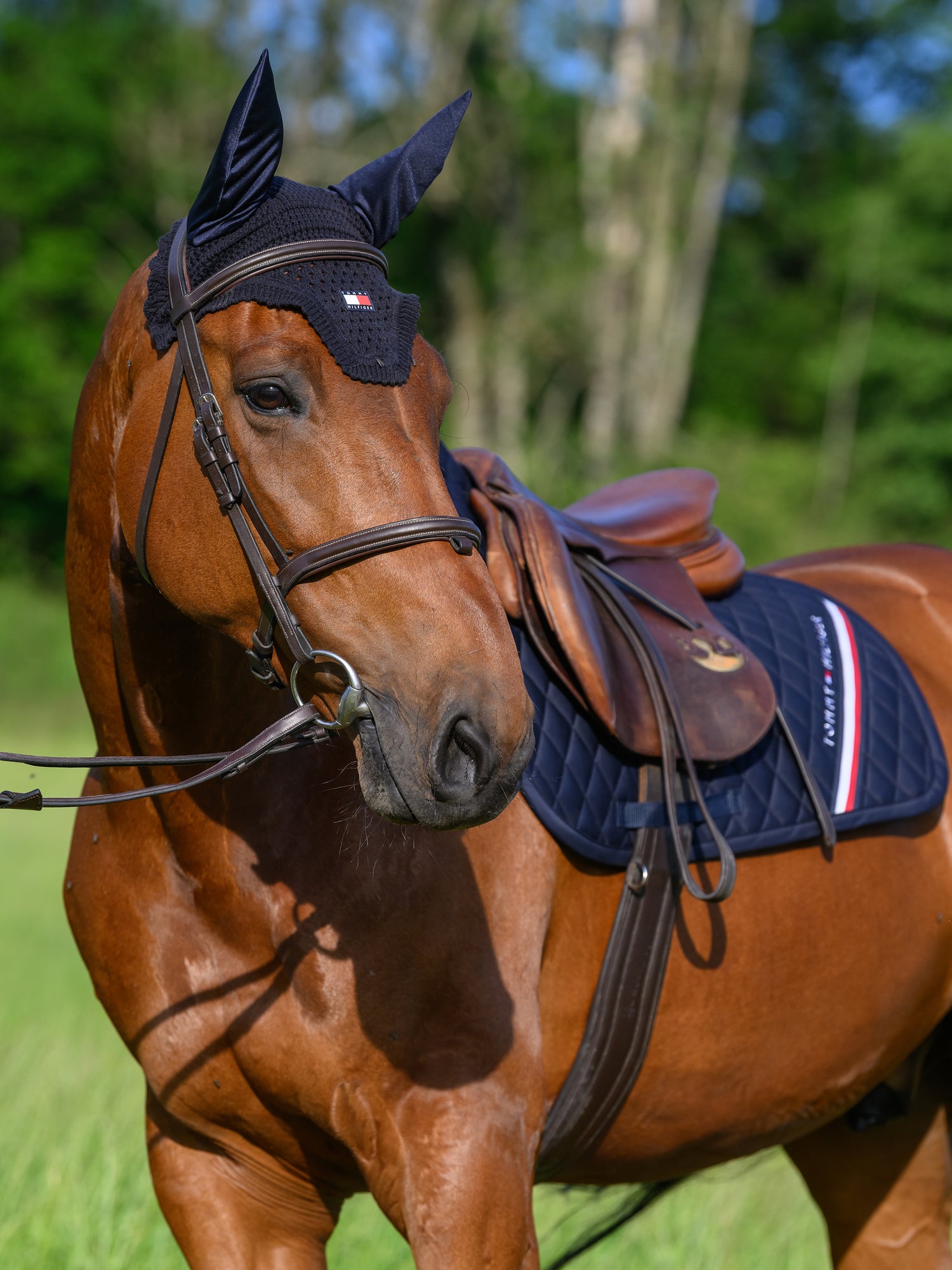 Tapis de selle Stanford MIXTE - TOMMY HILFIGER