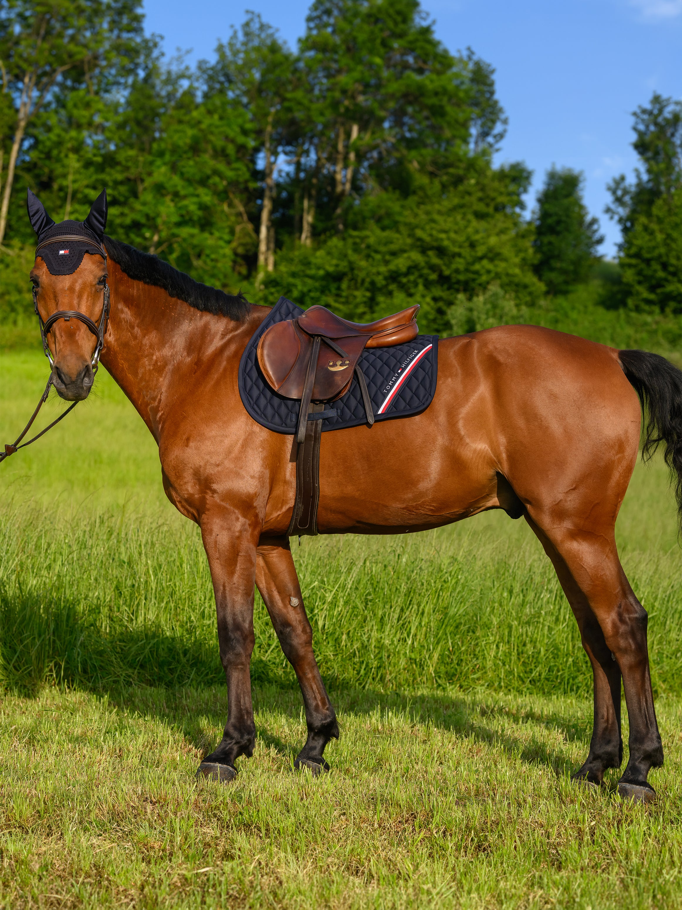 Tapis de selle Stanford MIXTE - TOMMY HILFIGER