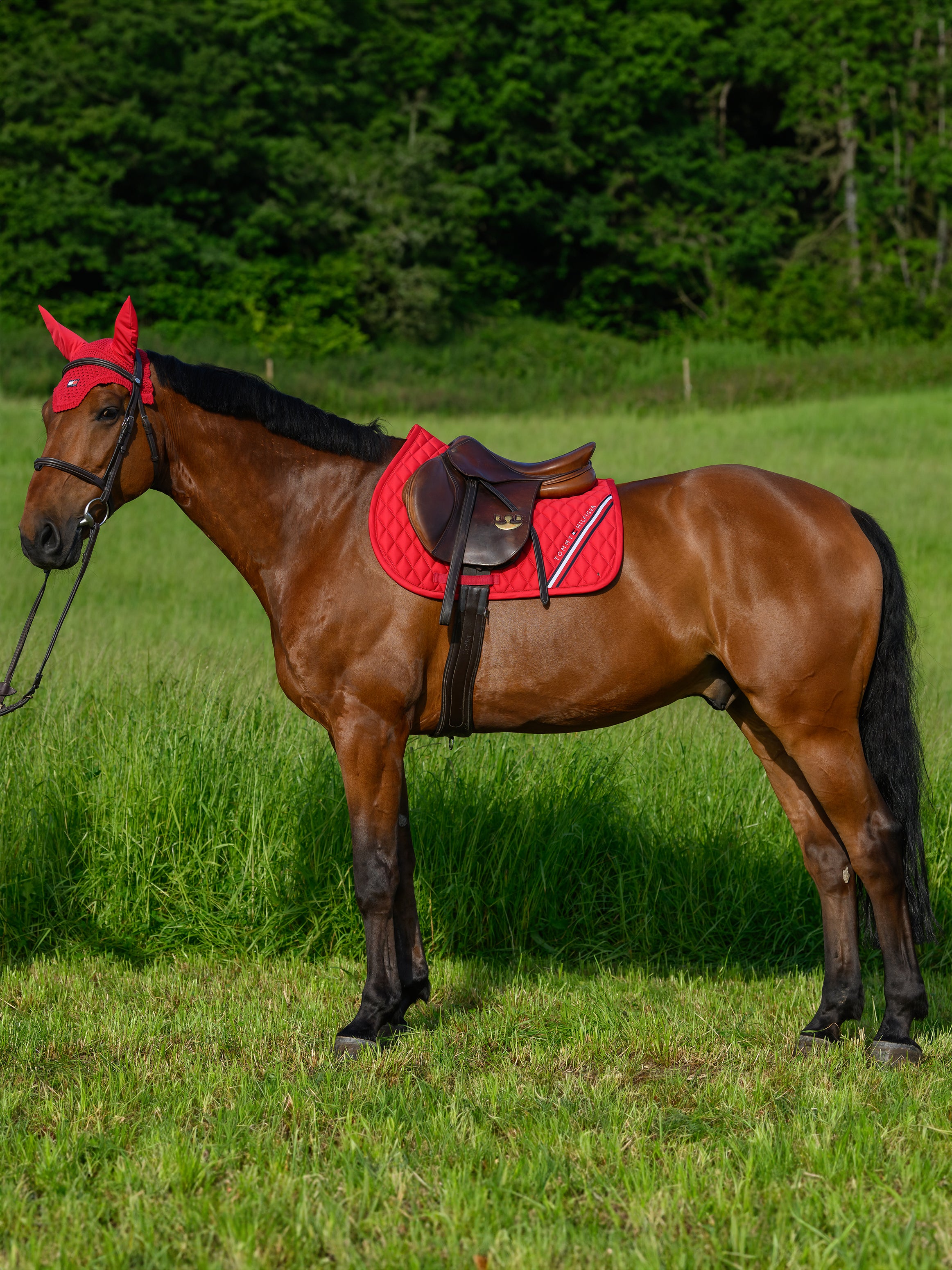 Tapis de selle Stanford MIXTE - TOMMY HILFIGER