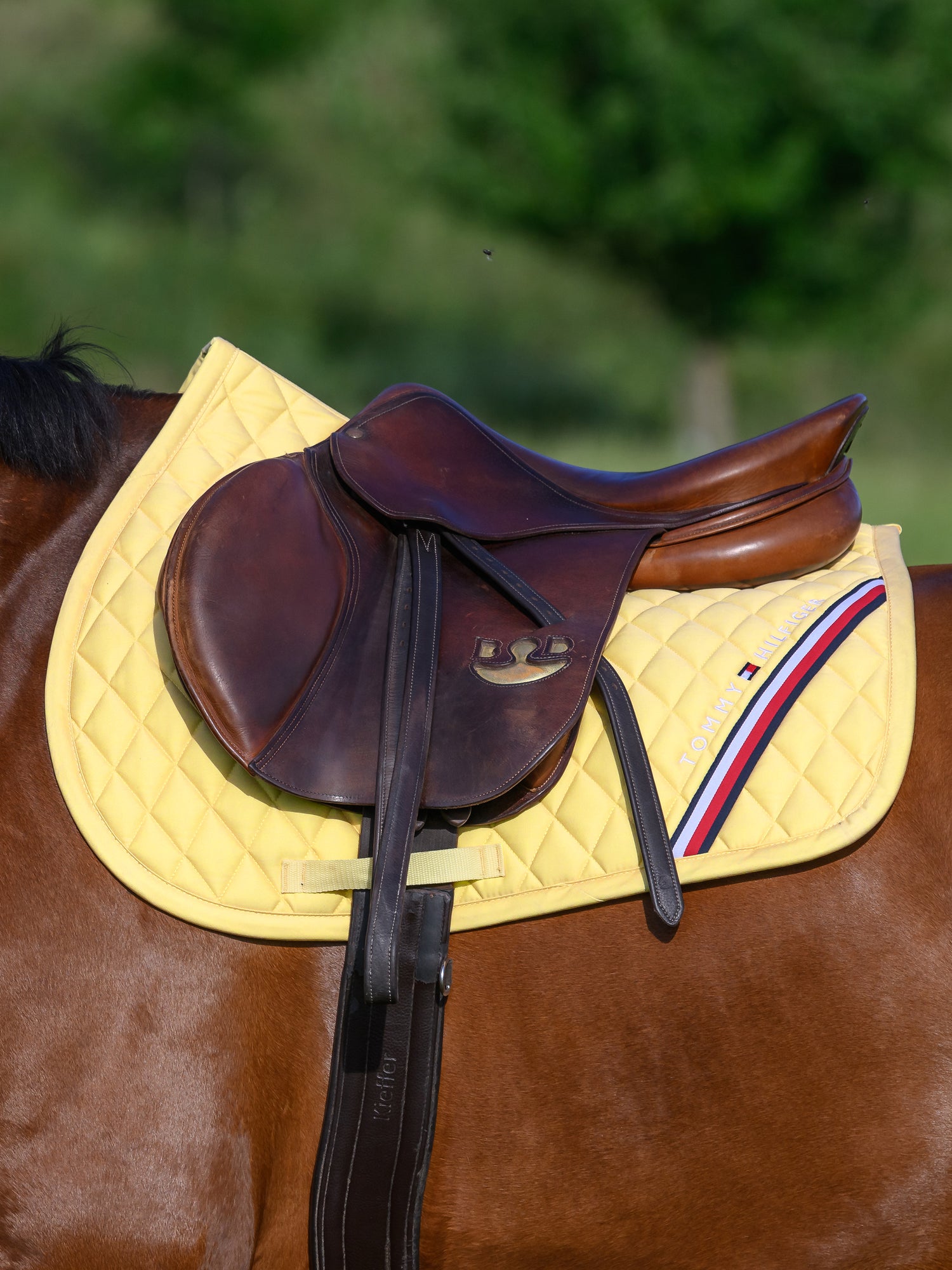 Tapis de selle Stanford MIXTE - TOMMY HILFIGER
