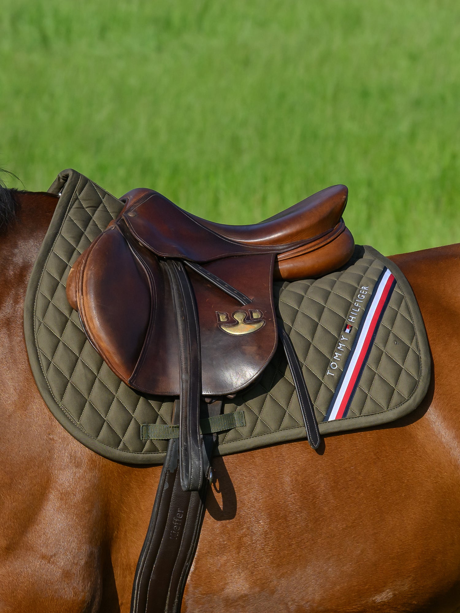 Tapis de selle Stanford MIXTE - TOMMY HILFIGER
