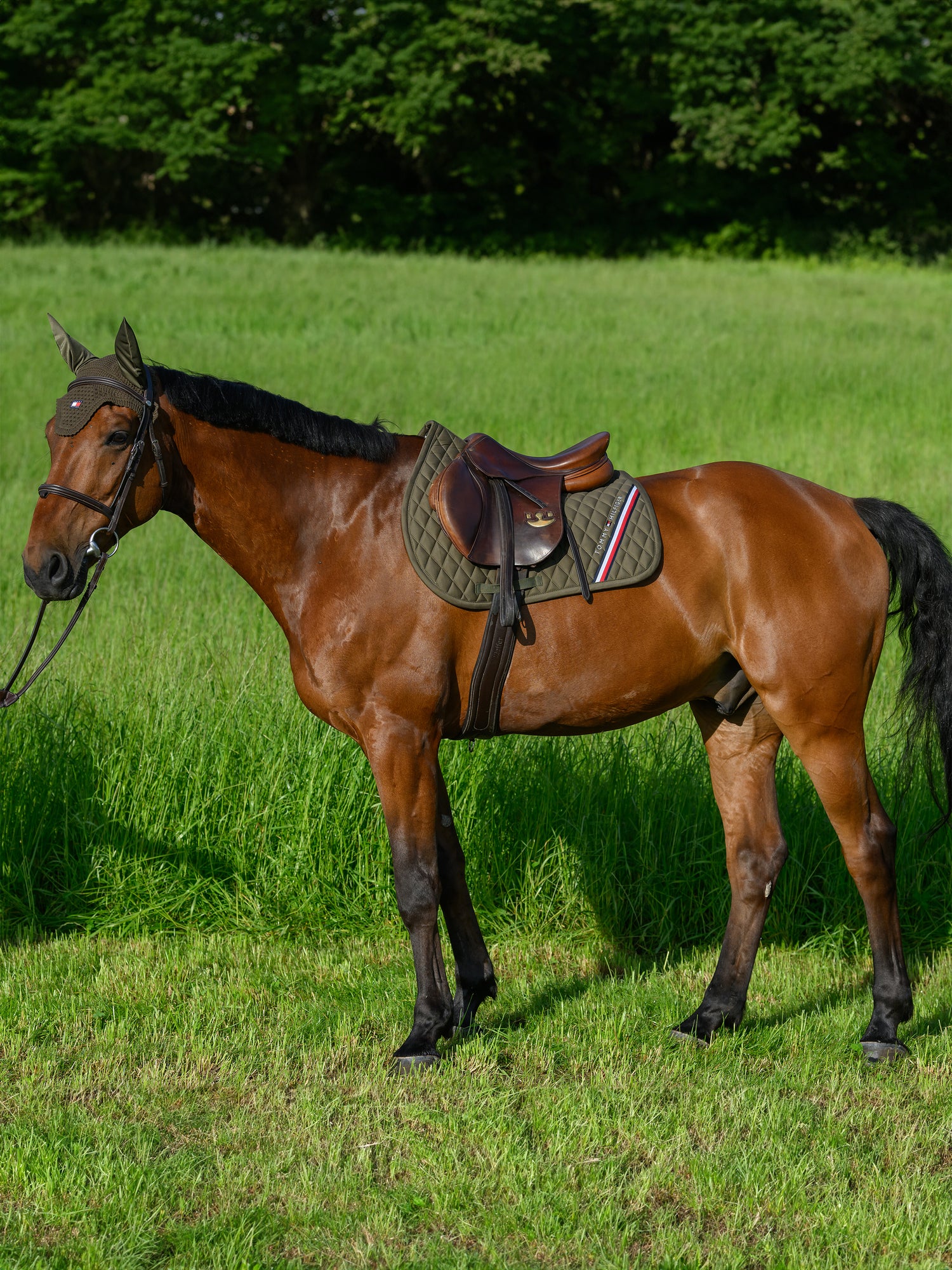 Tapis de selle Stanford MIXTE - TOMMY HILFIGER