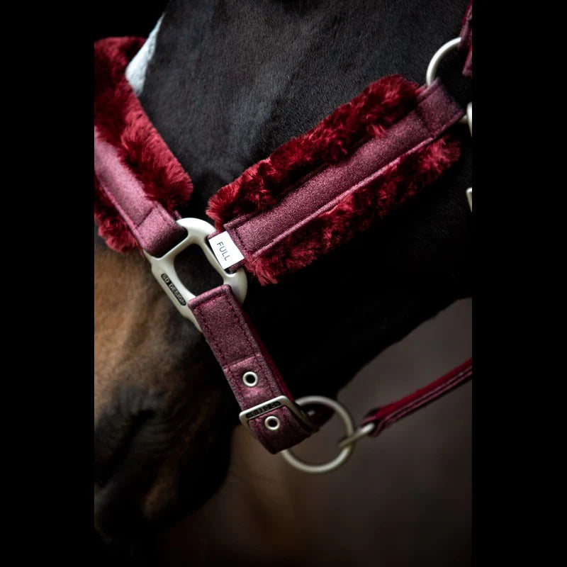 Licol Hollywood Glamorous Bordeaux - SD DESIGN