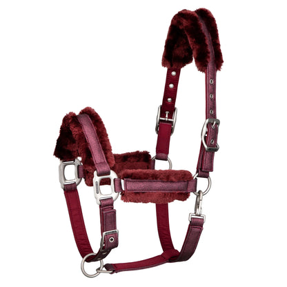 Licol Hollywood Glamorous Bordeaux - SD DESIGN