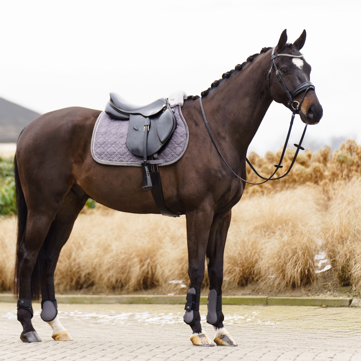Tapis de selle Simone MIXTE  - IMPERIAL RIDING